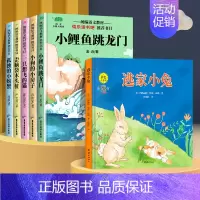 [全5册]逃家小兔+小鲤鱼跳龙门(二上必读) [正版]注音版逃家小兔绘本一二年级小学生幼儿园图书课外阅读书籍精装明天儿童