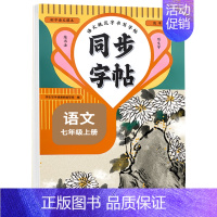 语文字帖 七年级下 [正版]2024新版 七年级上下册同步字帖语文英语衡水体人教版练字帖初中生初一钢笔练字初中课课练字贴