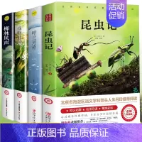 [全套4册]昆虫记+柳林风声+绿野仙踪+呼兰河传 [正版]柳林风声书 原版小学生课外阅读书籍三四五六年级阅读经典书目青少