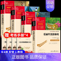 [4本]六下必读 [正版]六年级必读的课外书鲁滨逊漂流记爱丽丝漫游奇境汤姆索亚历险记骑鹅旅行记快乐读书吧六年级下册孙老师