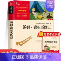 汤姆索亚历险记 [正版]六年级必读的课外书鲁滨逊漂流记爱丽丝漫游奇境汤姆索亚历险记骑鹅旅行记快乐读书吧六年级下册孙老师书