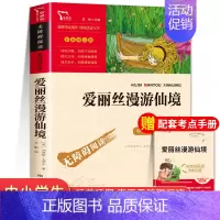 爱丽丝漫游奇境 [正版]六年级必读的课外书鲁滨逊漂流记爱丽丝漫游奇境汤姆索亚历险记骑鹅旅行记快乐读书吧六年级下册孙老师书