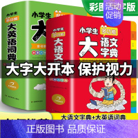 大语文字典+大英语词典 小学通用 [正版]2023小学生大成语词典大全彩色本彩图版中小学 新版中华成语大词典工具书现代汉