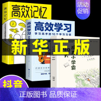 [全3册]培养孩子高效学习 [正版]49天成为小学霸 高效学习的10个习惯方法全集 清北五维 所谓学习好就是方法多孩子从