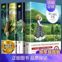 绿山墙的安妮+柳林风声+绿野仙踪+木偶奇遇记4册 [正版]全4册 绿山墙的安妮+柳林风声+绿野仙踪+木偶奇遇记原著全集蒙