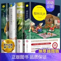 [全套4册]柳林风声+绿野仙踪+爱丽丝+木偶奇遇记 [正版]柳林风声书 原版小学生课外阅读书籍三四五六年级阅读经典书目青