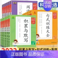 积累与默写 四年级上 [正版]53小学基础题语文积累与默写一二年级三年级四年级五年级六年级上册看拼音同步训练习看拼音写词