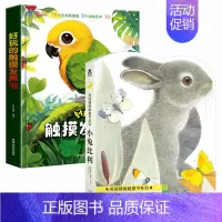 [全2册]触摸发声书+小兔比利 [正版]大8开本好玩的触摸发声书婴儿早教书籍1-2岁点读书触摸书机关书有声读物幼儿撕不烂