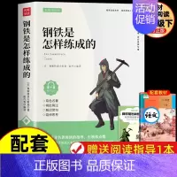 [同步人教版]钢铁是怎样炼成的(赠手册) [正版]傅雷家书 钢铁是怎样炼成的和经典常谈朱自清8八年级下册必读课外书初中原