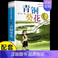 [单本]青铜葵花 [正版]全套4册 青铜葵花曹文轩小英雄雨来管桦与葫芦的秘密张天翼四年级下册阅读课外书必读的书目繁星春水