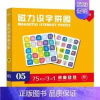 [5阶]儿童磁力识字拼图1本 [正版]幼儿早教磁力识字拼图全套6本1-6阶段儿童磁力识字拼图3到6岁宝宝磁性幼儿早教书进