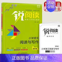 同步作文+阅读理解(4年级) 小学通用 [正版]新版 锐阅读小学生语文阅读与写作 一二三四五六年级上册1-2-3-4-5