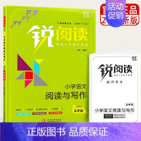 同步作文+阅读理解(5年级) 小学通用 [正版]新版 锐阅读小学生语文阅读与写作 一二三四五六年级上册1-2-3-4-5