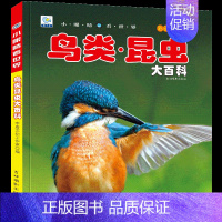 [任选3本39元]鸟类昆虫 [正版]儿童工程车百科全书认知图画书大型机械大百科注音版读物男孩交通工具科普绘本科学幼儿童少