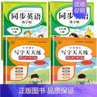 英语字帖+语文字帖(上册+下册) 小学五年级 [正版]2024新 五年级上册下册英语字帖人教版pep 手写体同步练字帖