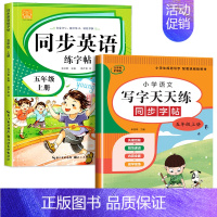 英语字帖+语文字帖(上册) 小学五年级 [正版]2024新 五年级上册下册英语字帖人教版pep 手写体同步练字帖 小学生