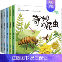 全套5册 大自然的奥秘 第①辑 [正版]小果树 幼儿园科学类绘本3一6岁 中班阅读大班幼儿科普书籍儿童绘本故事书学前班适