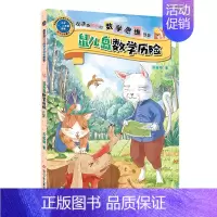 鼠儿岛数学历险记 单本 [正版]王芳力荐 胖胖虎数学解谜故事书 数学绘本一年级二年级阅读课外书籍 越读越聪明的数学思维故