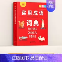 实用成语词典 小学通用 [正版]多功能常用字典 小学生现代汉语成语小词典大语文素材词典 比喻词语造句量词形容词训练大全一