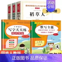 三年级上册[必读书目+默写+字贴] 共5册 [正版]三年级上册课外书必读 二升三课外阅读 安徒生童话 格林童话全集 稻草