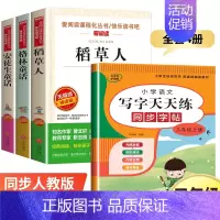 三年级上册[必读书目+同步字贴] 共4册 [正版]三年级上册课外书必读 二升三课外阅读 安徒生童话 格林童话全集 稻草人