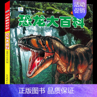 [任选3本39元]恐龙百科 [正版]舰船大百科轮船舶战舰军事绘本十万个为什么注音科普小百科读物全套科学认知幼儿少儿宝宝儿
