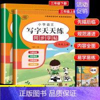 2册:同步字帖(上册+下册) 三年级上 [正版]2024新 三年级上册+下册语文练字帖同步人教版小学生写字天天练每日一课