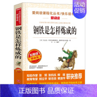 钢铁是怎样炼成的(满4件7.5折) [正版]鲁滨逊漂流记六年级下册必读的课外书原著完整版快乐读书吧小学生阅读课外书籍儿童