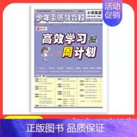 英语[人教版] 六年级上 [正版]2024 少年素质教育报高效学习周计划一二三四五六年级上册语文数学英语人教版同步测试
