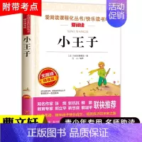 小王子 世界名著 [正版]小王子书中文 无障碍精读版经典名著 三四五年级小学生课外书阅读 幼儿童话故事 6-8-12岁儿
