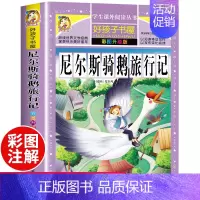 [正版]尼尔斯骑鹅旅行记 彩图升级版 小学生一 二 三 四 年级升级版阅读适合3-6年级尼尔斯骑鹅历险记课外阅读书籍