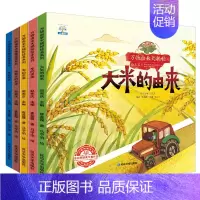 5册:万物由来大揭秘绘本第一辑 [正版]世界万物的由来大揭秘绘本 不带拼音幼儿园儿童科普绘本阅读故事书3一6岁小班中班老