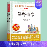 绿野仙踪(4件以上7.5折) [正版]雷锋的故事全集完整版小学生二三四年级阅读课外书籍 青少年版 快乐读书吧必读老师 红