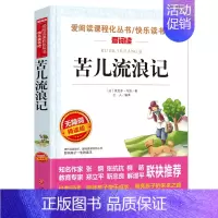 [选4本35元]苦儿流浪记 [正版]书海底两万里小学版原著完整版 三四年级课外书阅读文学经典书目五六课外阅读书籍青少年读