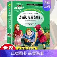 [六年级下册快乐读书吧书目]爱丽丝漫游奇境 [正版]六年级下册必读的课外书快乐读书吧 鲁滨逊漂流记原著完整版 爱丽丝漫游
