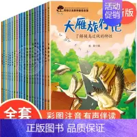 奇妙大自然幼儿科普绘本第一辑+第二辑 全20册 [正版]全套20册幼儿科普绘本启蒙课外读物 3一6儿童绘本故事书亲子阅读
