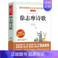 徐志摩诗歌 [正版]小学生现代诗集大全四年级下册中国现代诗歌精选儿童繁星春水冰心泰戈尔徐志摩艾青诗选四五年级阅读课外书籍