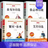 全套4册 小学生现代诗集 [正版]小学生现代诗集大全四年级下册中国现代诗歌精选儿童繁星春水冰心泰戈尔徐志摩艾青诗选四五年