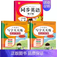 英语字帖+语文字帖(上册+下册) 小学六年级 [正版]2023新 六年级上册英语字帖人教版PEP版上下册全一本 小学6年