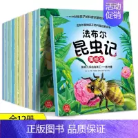 昆虫记美绘本全套12册 [正版]法布尔昆虫记美绘本全套12册 4到5-6岁儿童绘本注音版幼儿启蒙科普百科绘本书籍 适合幼