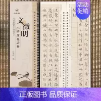 小楷-文征明·落花诗卷 [正版]经典碑帖近距离临帖摹字练习卡王羲之兰亭序冯承素摹王羲之集字圣教序文征明行草千字文行书赤壁