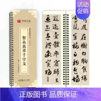 [正版]单本华夏万卷 毛笔近距离临摹字卡智永真草千字文墨迹本草书行草高清还原临帖练字帖教程