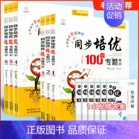 数学同步培优专题100分 专题特训 小学二年级 [正版]全脑数学小学数学思维解密同步培优专题100分专题特训一二三四五六