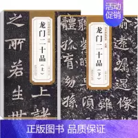 [正版]北魏龙门二十品 上下 历代碑帖精粹 薛元明编 附技法解析 临摹临习篆书的好范本艺术书法篆刻