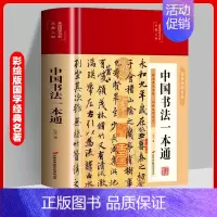 中国书法一本通 [正版]书籍中国书法一本通中国历代书法篆书楷书入门历代名家王羲之等收藏真迹艺术书法篆刻书法作品集书法集名