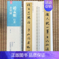 [正版]经典碑帖近距离临帖摹字练习卡赵孟頫行书赤壁赋赵孟俯赤壁赋近距离临摹字卡字帖毛笔书法字帖卡初学者入门字条贴毛笔书法