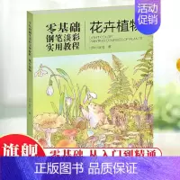 花卉植物 [正版]花卉植物 22张手绘植物插画零基础钢笔淡彩实用教程little jiang著日记手账插画视频教学 入门