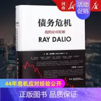 [正版]债务危机 我的应对原则 瑞达利欧 桥水创始人 原则作者 金融投资理财 出版社