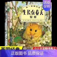 第一眼看四季(共4册) [正版]全套4册第一眼看四季 春夏秋冬四季的变化儿童绘本 人民邮电出版社