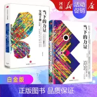 [正版]当下的力量实践手册 白金版+当下的力量 白金版 埃克哈特托利 著 出版社励志成功学书籍